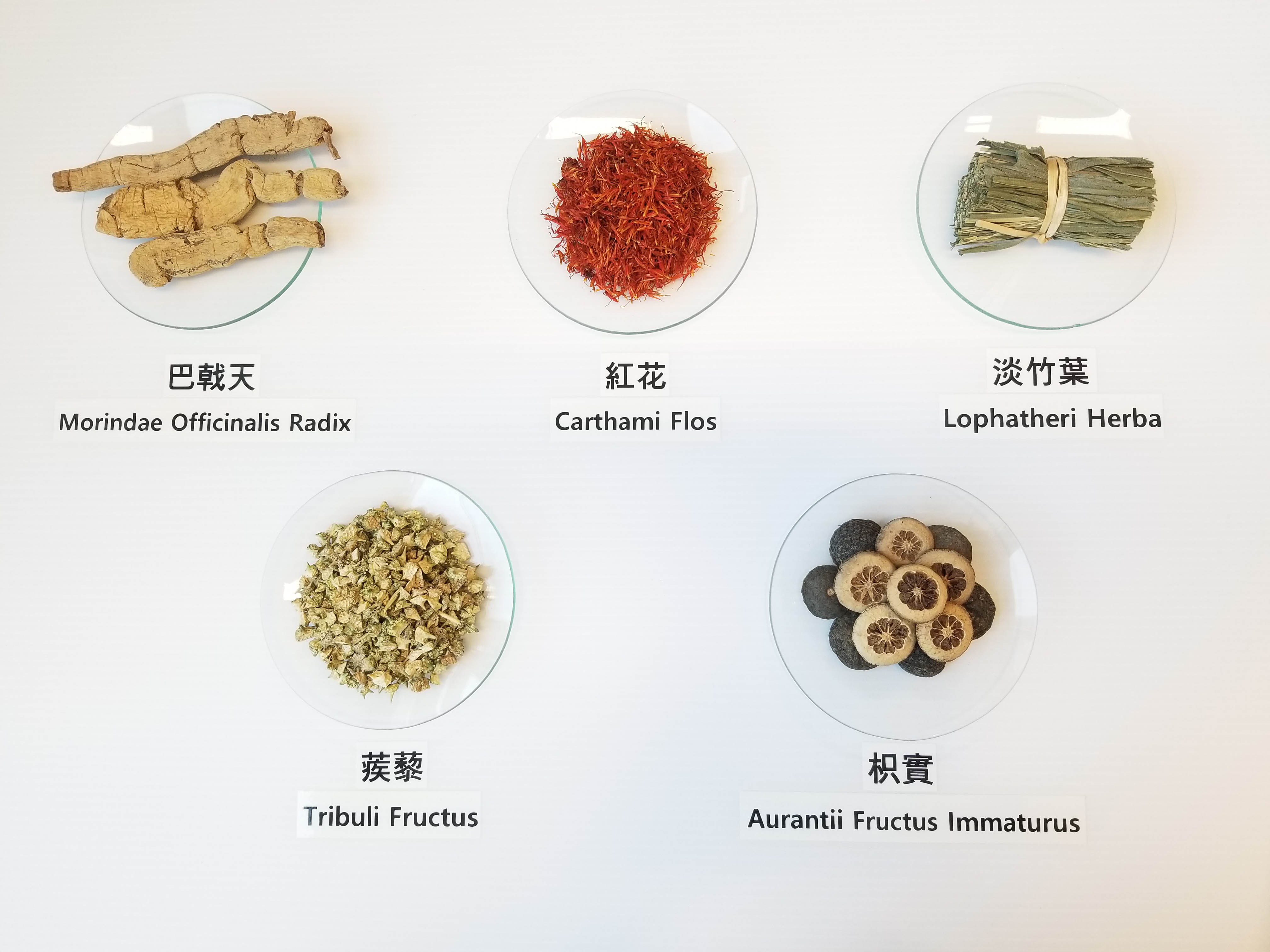 Chinese medicine samples