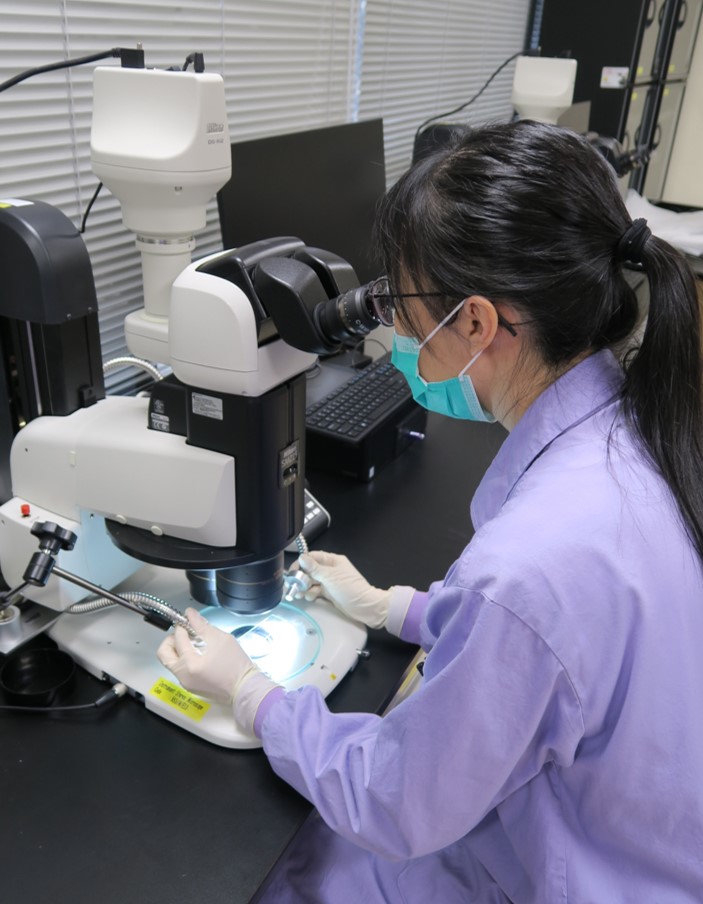 A staff is examining sample by high power microscope